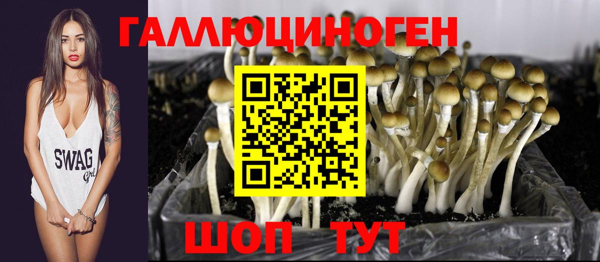 Камень-на-Оби  Псилоцибиновые грибы Magic Shrooms  наркотики  Вход с VPN 